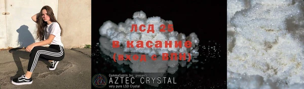 ГАЛЛЮЦИНОГЕННЫЕ ГРИБЫ Козловка