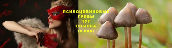 гидропоника Алексин