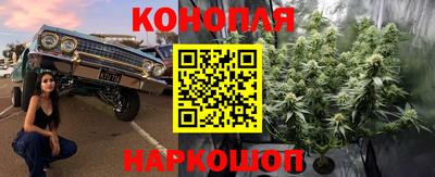 сатива Рязань
