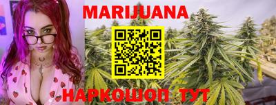 индика Рыбинск
