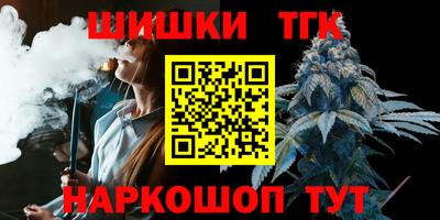 индика Рыбинск