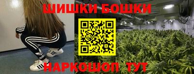 индика Рыбинск