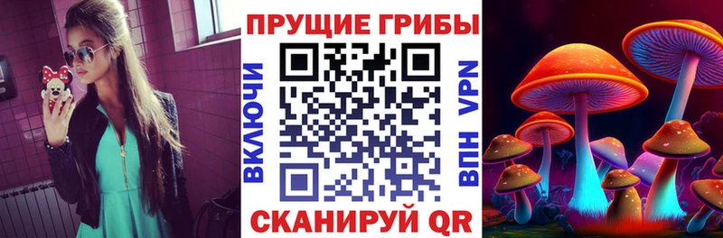 закладка  Раменское  Галлюциногенные грибы мицелий 