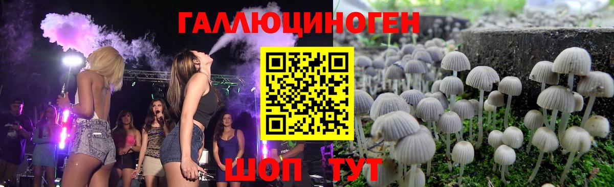 купить   Галлюциногенные грибы мицелий  Вход с VPN  Раменское 